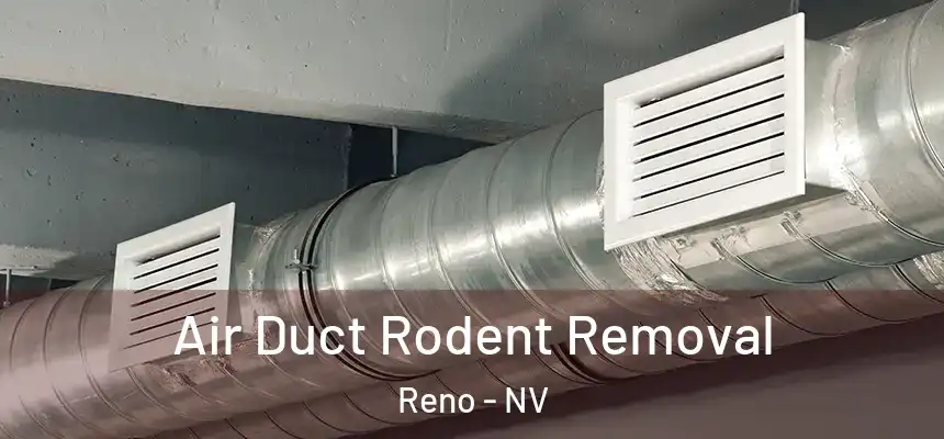  Air Duct Rodent Removal Reno - NV