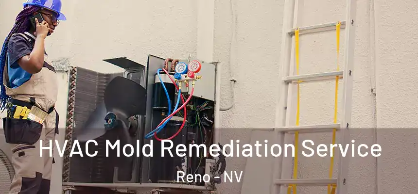  HVAC Mold Remediation Service Reno - NV