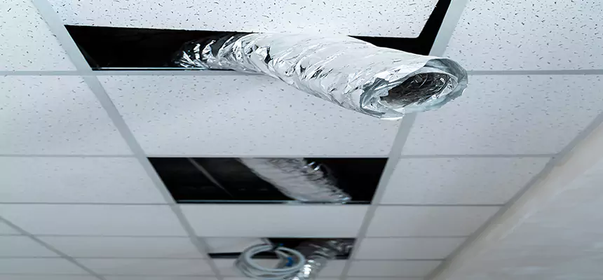 Affordable HVAC Sanitizing After Pest Removal in Reno