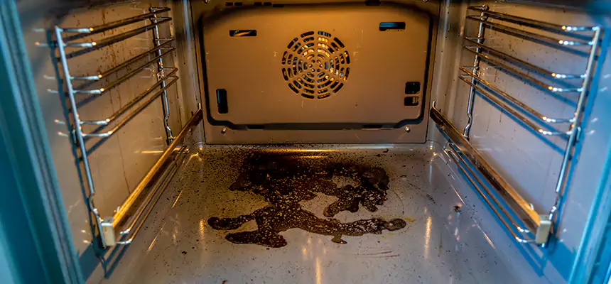 Our Dryer Vent Mold Cleaning Services in Reno, NV