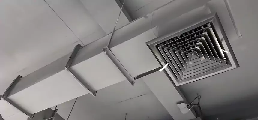 Our Pest Removal From Ducts Services in Reno, NV