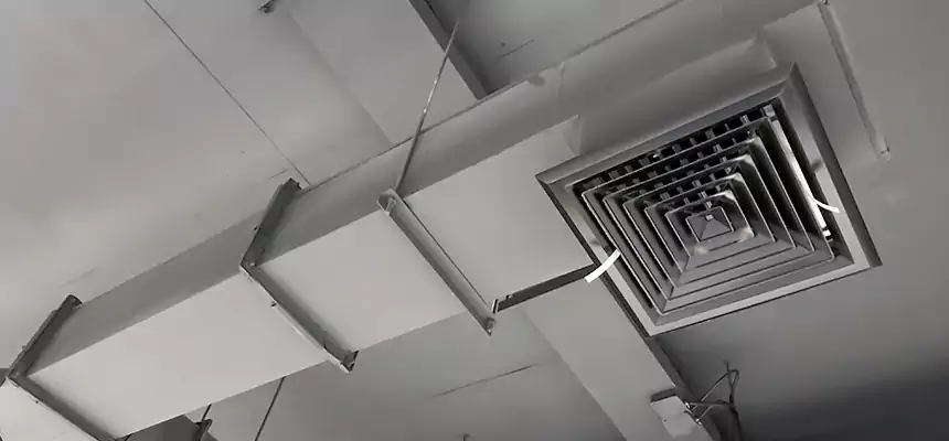 Our Rodent Droppings In Vents Services in Reno, NV