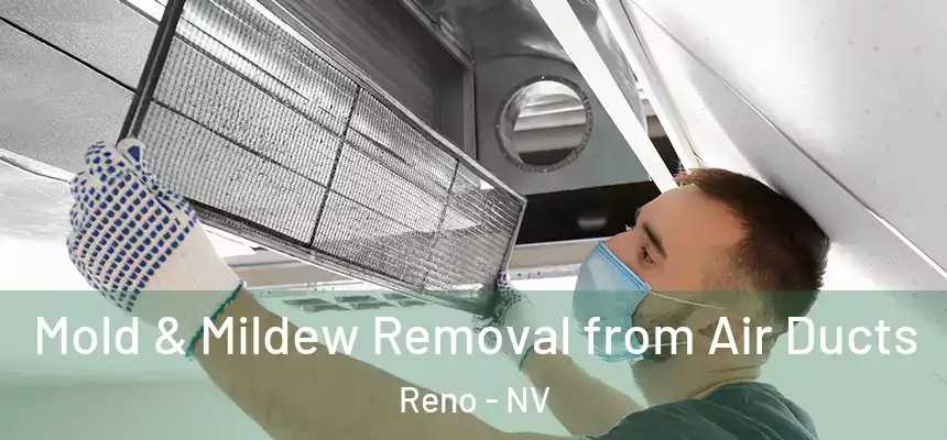  Mold & Mildew Removal from Air Ducts Reno - NV