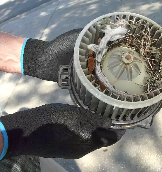 About Air Duct Mice Removal in Reno, NV