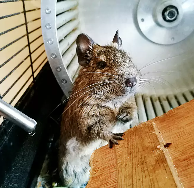 Why Homeowners & Businesses Trust Us Reno, NV?