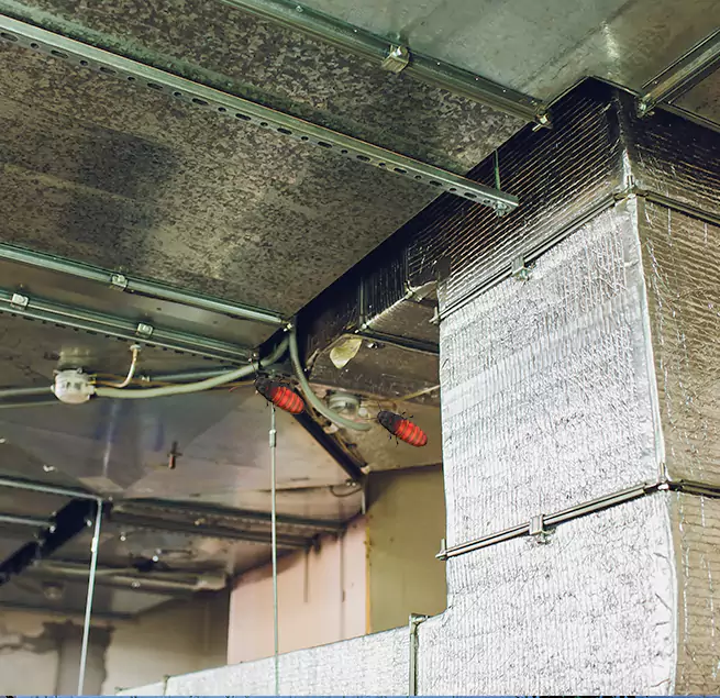 Why Homeowners & Businesses Trust Us Reno, NV?