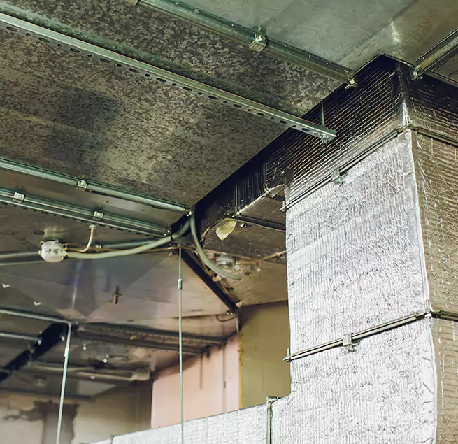 Why Homeowners & Businesses Trust Us in Reno, NV?